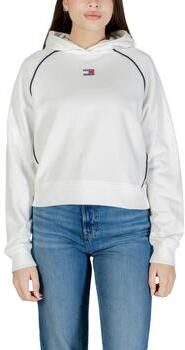 Tommy Hilfiger Capuchon sweaters DW0DW22544