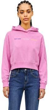 Tommy Hilfiger Capuchon sweaters DW0DW22906