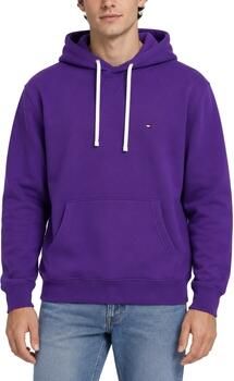 Tommy Hilfiger Capuchon sweaters MW0MW39997