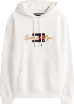 Tommy Hilfiger Capuchon sweaters MW0MW41502