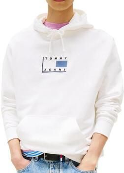 Tommy Hilfiger Capuchon sweaters Regular