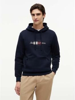 Tommy Hilfiger Capuchon sweaters Script Flag Hoodie