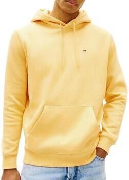 Tommy Hilfiger Capuchon sweaters Tjm Reg S Flag