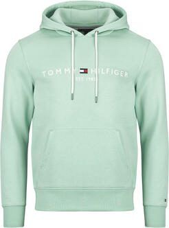 Tommy Hilfiger Capuchon sweaters TOMMY LOGO HOODY