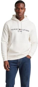 Tommy Hilfiger Capuchon sweaters TOMMY LOGO MW0MW11599