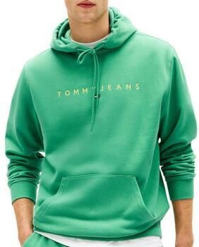 Tommy Hilfiger Capuchon sweaters Washed DM0DM20746