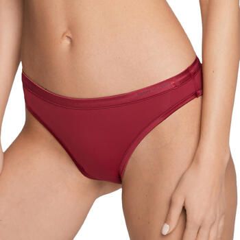 Tommy Hilfiger Shorts