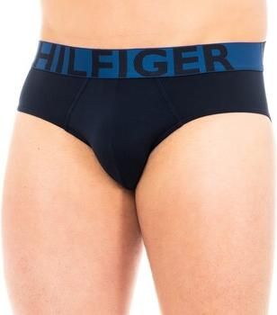 Tommy Hilfiger Boxers 1U87905329-416