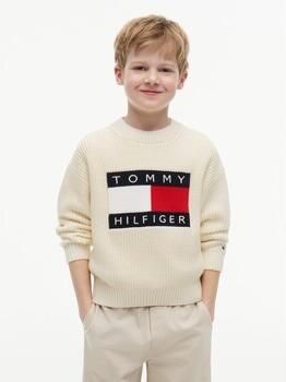 Tommy Hilfiger Sweater Heritage Flag