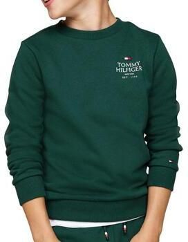 Tommy Hilfiger sweater groen