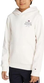 Tommy Hilfiger Sweater