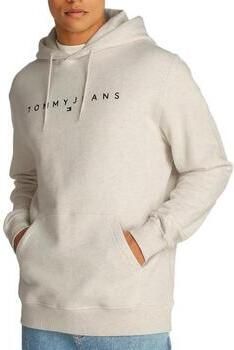 TOMMY JEANS Hoodie TJM REG LINEAR LOGO HOODIE EXT