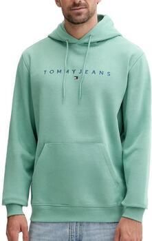 TOMMY JEANS Hoodie TJM REG LINEAR LOGO HOODIE EXT