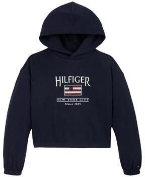 Tommy Hilfiger Hoodie HILFIGER SEQUIN FLAG HOODIE met pailletten met logo-borduursels