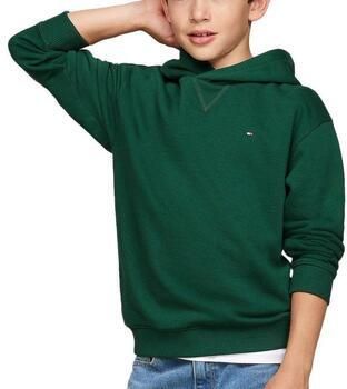TOMMY HILFIGER Truien & Vesten U Timeless Hoodie Groen - Foto 1