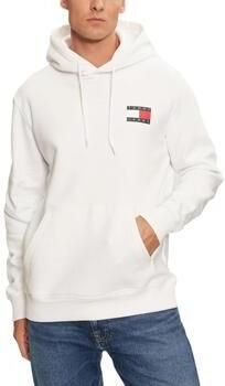 TOMMY JEANS Sweatshirt TJM REG ESSENTIAL FLAG HOOD EXT met bedrukte merklogo op borsthoogte - Foto 3