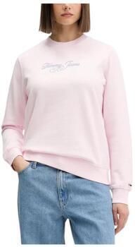 Tommy Hilfiger Sweaters DW0DW21922 TOG