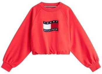 Tommy Hilfiger Sweaters KG0KG09236 XK3