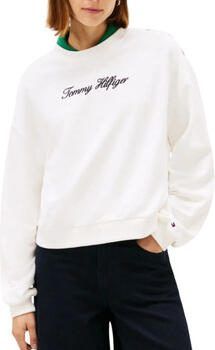 Tommy Hilfiger Sweaters WW0WW48783
