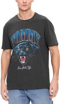 Tommy Hilfiger T-shirt Korte Mouw DM0DM18281BDS