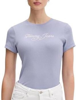 Tommy Hilfiger T-shirt Korte Mouw DW0DW21838