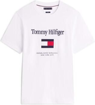 Tommy Hilfiger T-shirt Korte Mouw Tommy Embro Flag Tee