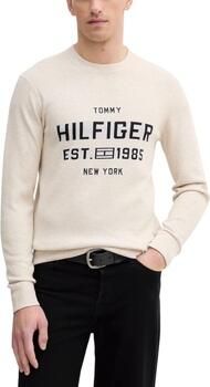 Tommy Hilfiger Trui ATHLEISURE CREW NECK MW0MW39533