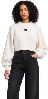 Tommy Hilfiger Trui DW0DW22024