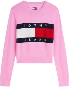 Tommy Hilfiger Trui DW0DW22930