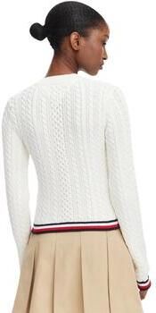 Tommy Hilfiger Trui DW0DW22933