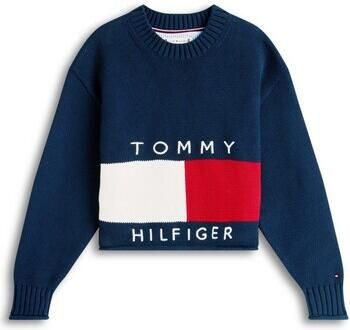 Tommy Hilfiger trui donkerblauw gebreid