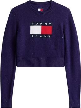 Tommy Hilfiger Trui TJW SPARKLE FLAG SWE DW0DW21690