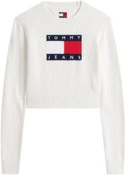 Tommy Hilfiger Trui TJW SPARKLE FLAG SWE DW0DW21690