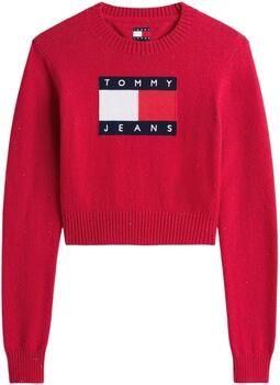 Tommy Hilfiger Trui TJW SPARKLE FLAG SWE DW0DW21690