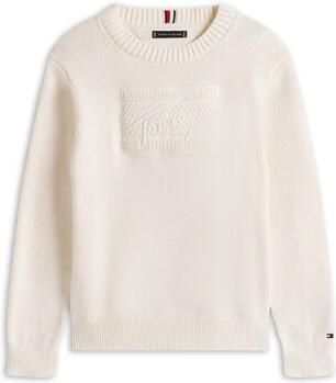 Tommy Hilfiger Trui Tommy Script Flag Tonal Sweate