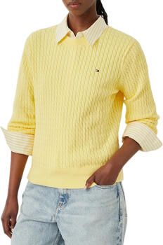 Tommy Hilfiger Trui WW0WW44993