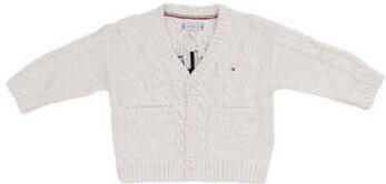 Tommy Hilfiger Vest 10290182783315