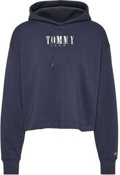 Tommy Jeans Sweater DW0DW14327