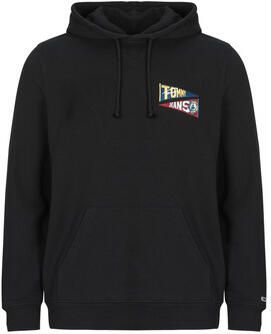Tommy Jeans Sweater TJM REG UNI FLAG TIGER HOODIE