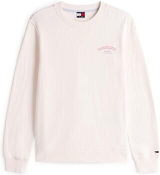 Tommy Jeans Sweaters Tjw Reg Dollar Stack