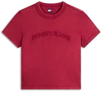 Tommy Jeans T-shirt Korte Mouw Tjw Reg Gmd Varsity