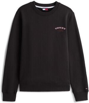 Tommy Jeans Trui Tjw Reg Dollar Stack