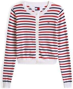 TOMMY JEANS Vest TJW ESSENTIAL CREW NECK CARDIGAN