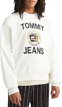 Tommy Jeans Trui DM0DM16376YBH