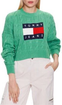 Tommy Jeans Trui DW0DW14261LY3