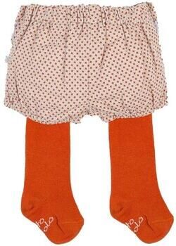 Tutto Piccolo Korte Broek 3301W17-GRIS