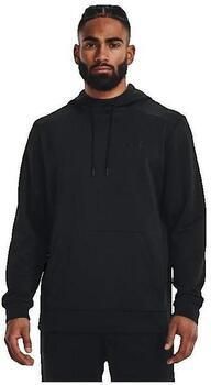 Under Armour Capuchon sweaters Sweat-Shirt En Polaire