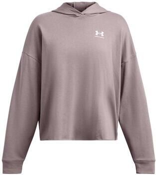 Under Armour Sweater