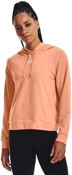 Under Armour Sweater Rival Terry Hoodie
