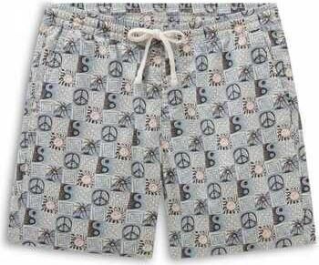 Vans Korte Broek Range relaxed ela